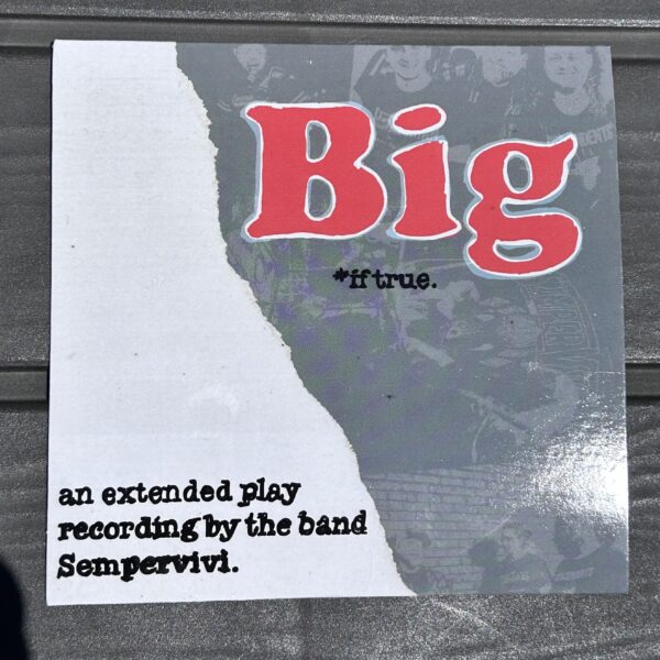 Sempervivi "Big If True" CD EP Cover