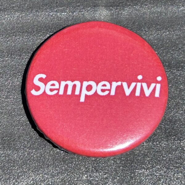Supreme Button - Sempervivi Punk Pin