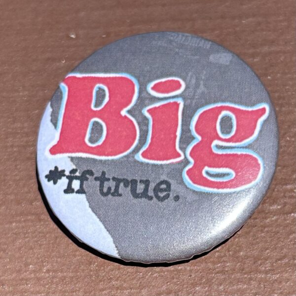 Big If True Button - Sempervivi Punk Pin